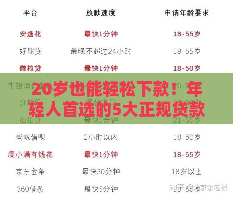 20岁也能轻松下款!年轻人首选的5大正规贷款平台推荐 20岁也能轻松下款!年轻人首选的5大正规贷款平台推荐