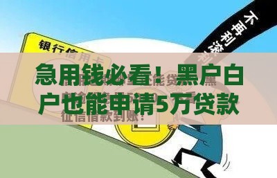急用钱必看！黑户白户也能申请5万贷款攻略