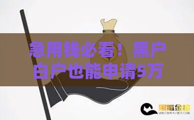 急用钱必看！黑户白户也能申请5万贷款攻略