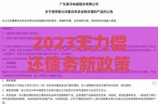 2023无力偿还债务新政策解读：贷款人必看的应对方案