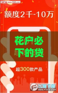 花户必下的贷款有哪些？这5种方式通过率高！