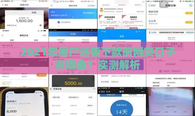 2021年黑户还能下款的网贷口子有哪些？实测解析