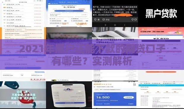 2021年黑户还能下款的网贷口子有哪些？实测解析