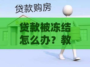 贷款被冻结怎么办？教你合法追回资金的实用方法