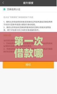 第一次借款哪个平台容易借？新人必看避坑指南