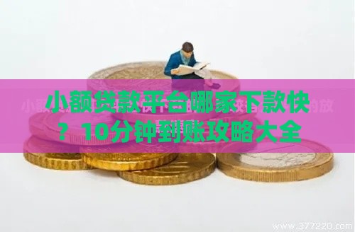 小额贷款平台哪家下款快？10分钟到账攻略大全