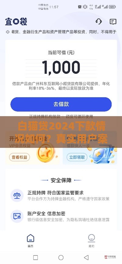 白猫贷2024下款情况如何？真实用户案例解析