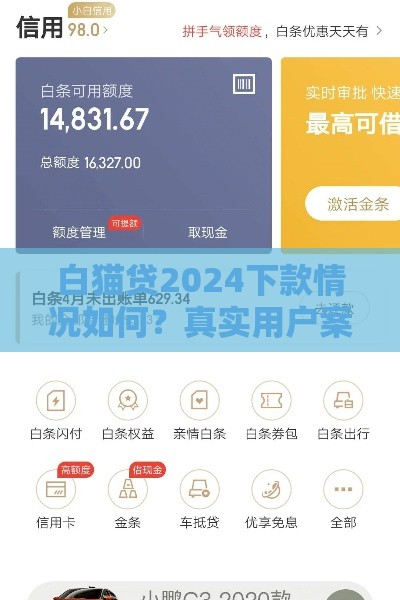 白猫贷2024下款情况如何？真实用户案例解析