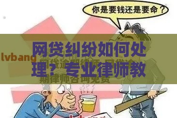 网贷纠纷如何处理？专业律师教你避坑维权指南