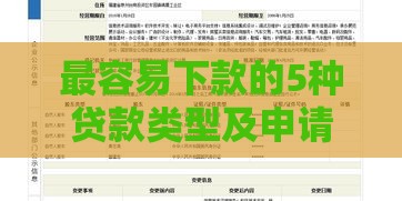 最容易下款的5种贷款类型及申请技巧全解析