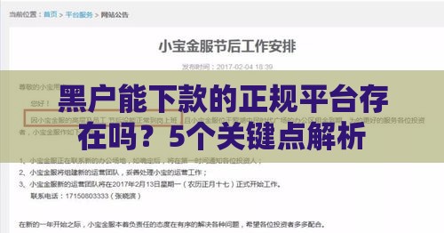黑户能下款的正规平台存在吗？5个关键点解析