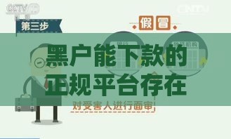 黑户能下款的正规平台存在吗？5个关键点解析