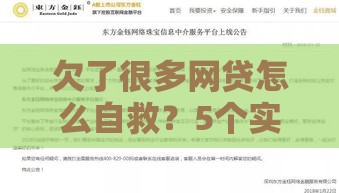 欠了很多网贷怎么自救？5个实用方法帮你摆脱债务危机