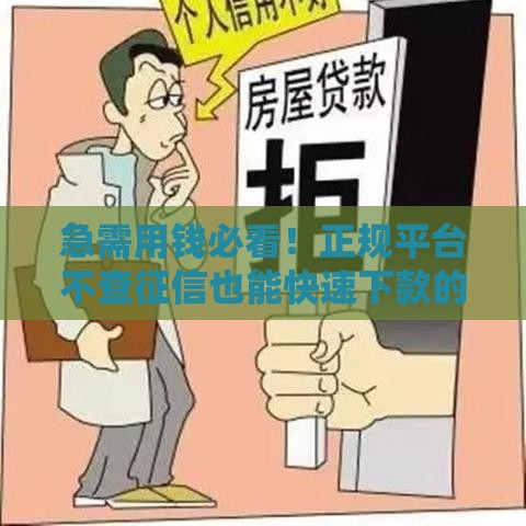 急需用钱必看！正规平台不查征信也能快速下款的渠道推荐