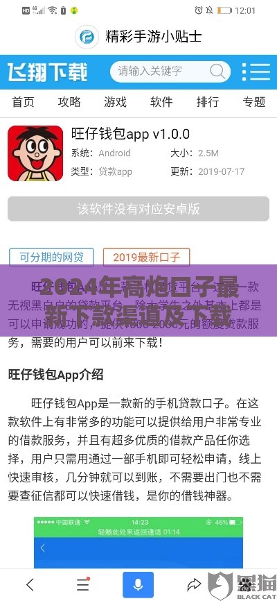 2024年高炮口子最新下款渠道及下载方法解析