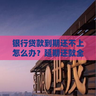 小额借款突然火了！普通人借钱为啥越来越方便？