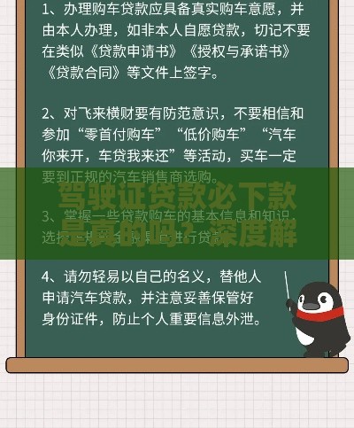 驾驶证贷款必下款是真的吗？深度解析背后的风险与真相