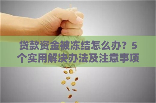 贷款资金被冻结怎么办？5个实用解决办法及注意事项