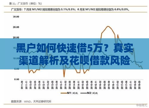 黑户如何快速借5万？真实渠道解析及花呗借款风险提醒