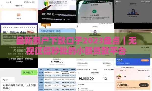 最新黑户下款口子2023盘点｜无视征信秒批的小额贷款平台