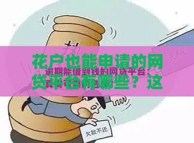 花户也能申请的网贷平台有哪些？这10个真实下款渠道速看