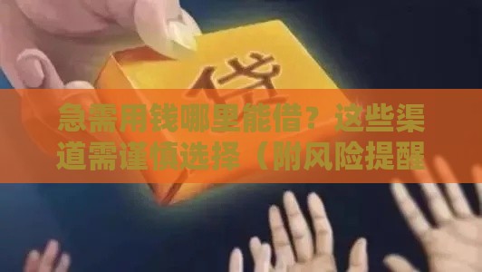 急需用钱哪里能借？这些渠道需谨慎选择（附风险提醒）