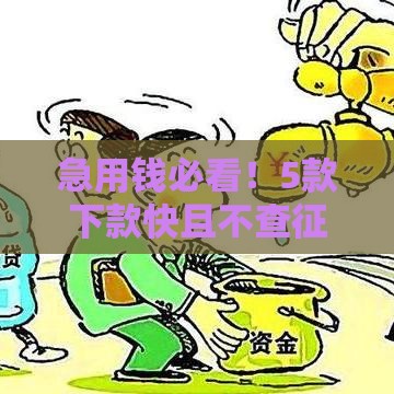 急用钱必看！5款下款快且不查征信的贷款平台推荐