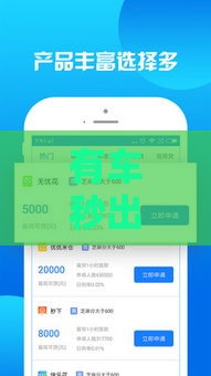 有车秒出额度的网贷靠谱吗？征信花了如何快速申请贷款