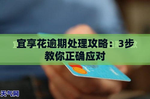 宜享花逾期处理攻略：3步教你正确应对