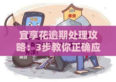 宜享花逾期处理攻略：3步教你正确应对