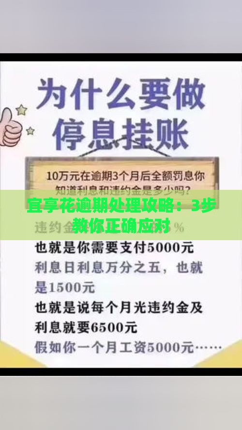 宜享花逾期处理攻略：3步教你正确应对
