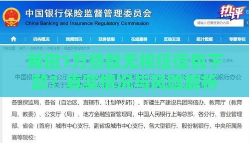 莆田1万贷款无视征信包下款？真实情况与风险解析
