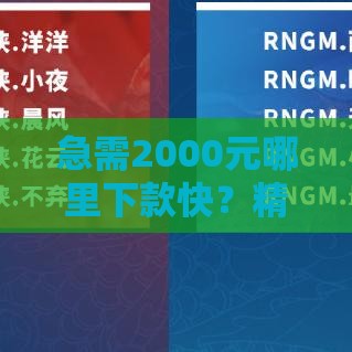 急需2000元哪里下款快？精选正规平台快速到账攻略
