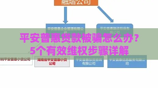 平安普惠贷款被骗怎么办？5个有效维权步骤详解