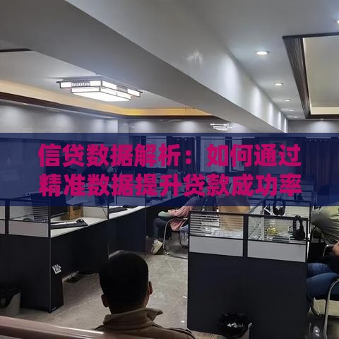 信贷数据解析：如何通过精准数据提升贷款成功率