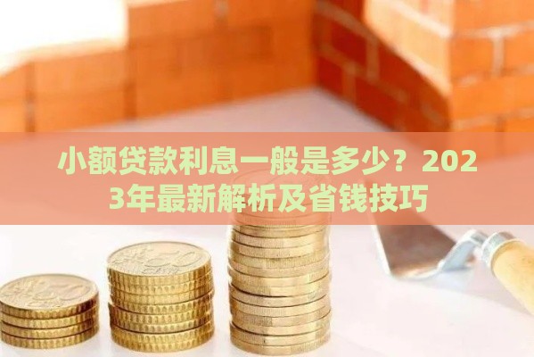 小额贷款利息一般是多少？2023年最新解析及省钱技巧