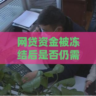 网贷资金被冻结后是否仍需还款？解读法律责任与应对方案