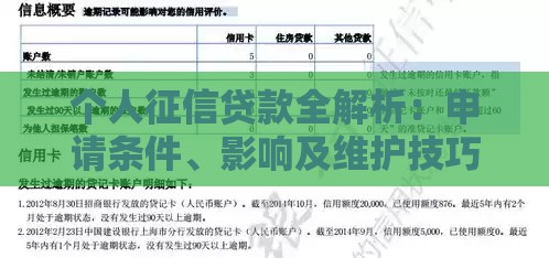 个人征信贷款全解析：申请条件、影响及维护技巧