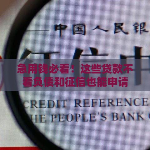 急用钱必看！这些贷款不看负债和征信也能申请