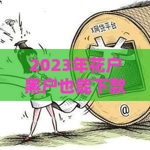 2023年花户黑户也能下款的平台盘点：真实案例+申请攻略