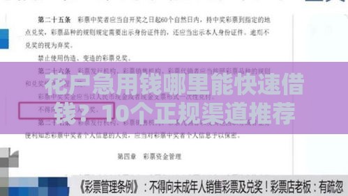 花户急用钱哪里能快速借钱？10个正规渠道推荐