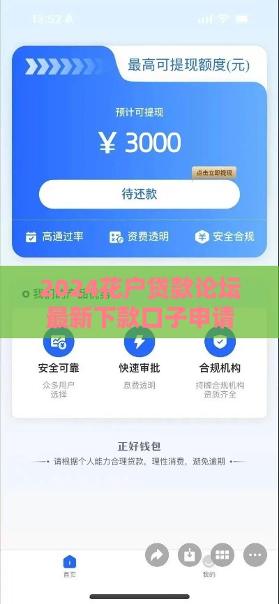 2024花户贷款论坛最新下款口子申请攻略与风险提醒