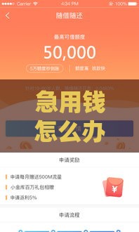 急用钱怎么办？网贷2万元快速到账攻略及注意事项