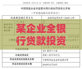 某企业全银行贷款投资案例解析：风险控制与资金运作关键点