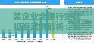 某企业全银行贷款投资案例解析：风险控制与资金运作关键点