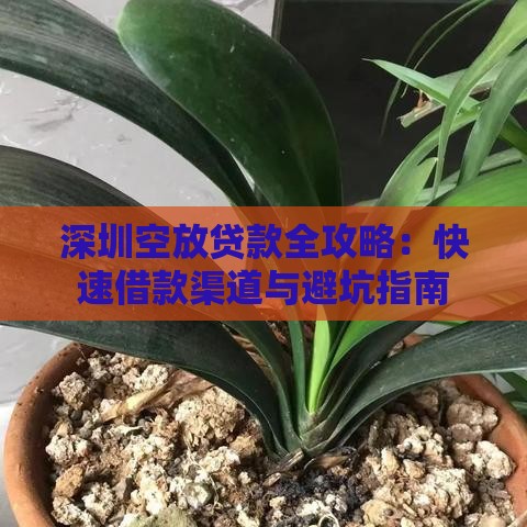 深圳空放贷款全攻略：快速借款渠道与避坑指南