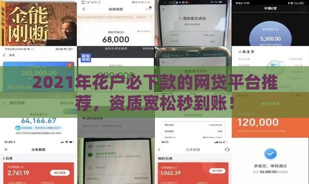 2021年花户必下款的网贷平台推荐，资质宽松秒到账！