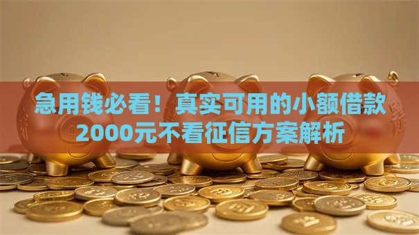急用钱必看！真实可用的小额借款2000元不看征信方案解析