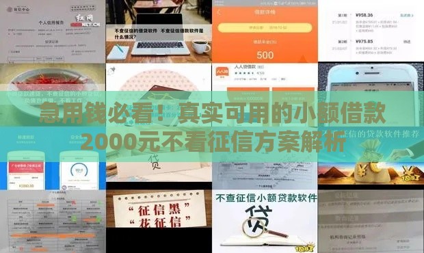 急用钱必看！真实可用的小额借款2000元不看征信方案解析