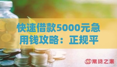 快速借款5000元急用钱攻略：正规平台1分钟到账流程详解